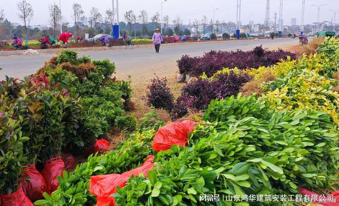 开云 开云体育官网市政工程一级资质欢迎加盟挂靠合作市政工程总承包一级资质企业(图6)