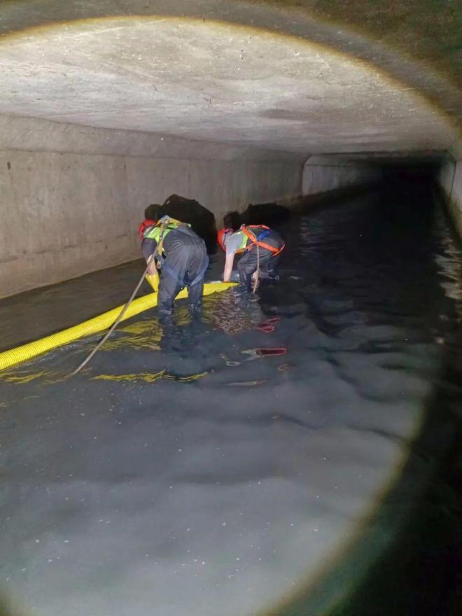 开云体育 开云平台应对持续降雨市政园林部门全力防汛备汛(图3)